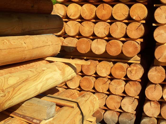 Mélèze – Image 3